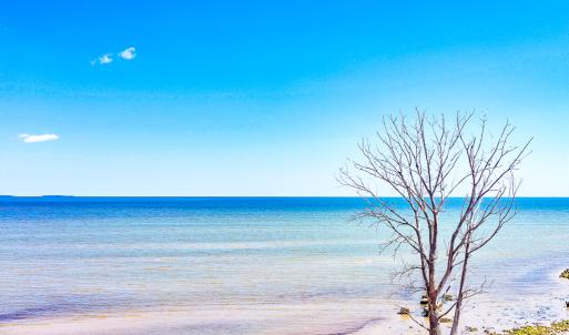 Photo #28 of Off Bay Tree Beach Rd, Seaford, VA 185.0 acres