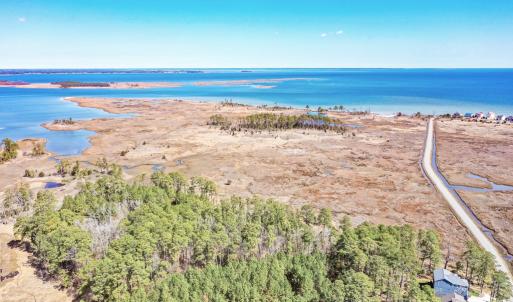 Photo #29 of Off Bay Tree Beach Rd, Seaford, VA 185.0 acres