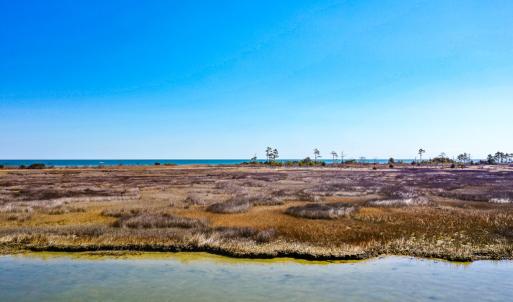 Photo #31 of Off Bay Tree Beach Rd, Seaford, VA 185.0 acres