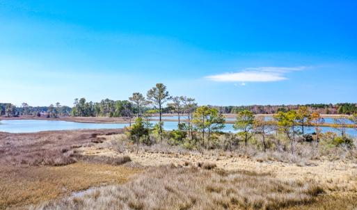 Photo #32 of Off Bay Tree Beach Rd, Seaford, VA 185.0 acres
