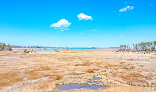 Photo #33 of Off Bay Tree Beach Rd, Seaford, VA 185.0 acres