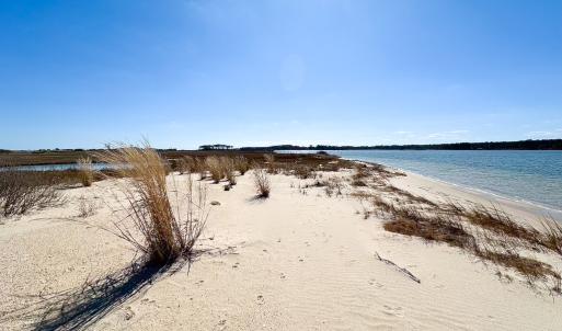 Photo #34 of Off Bay Tree Beach Rd, Seaford, VA 185.0 acres