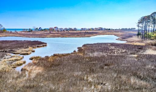 Photo #36 of Off Bay Tree Beach Rd, Seaford, VA 185.0 acres