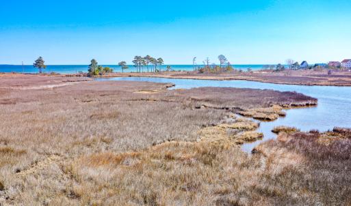Photo #37 of Off Bay Tree Beach Rd, Seaford, VA 185.0 acres