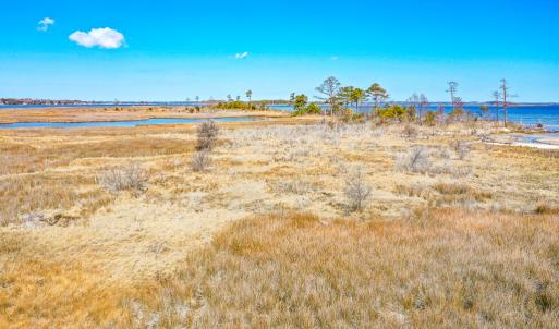 Photo #39 of Off Bay Tree Beach Rd, Seaford, VA 185.0 acres