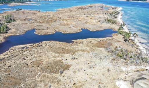 Photo #40 of Off Bay Tree Beach Rd, Seaford, VA 185.0 acres