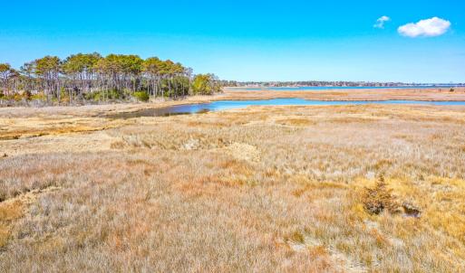 Photo #41 of Off Bay Tree Beach Rd, Seaford, VA 185.0 acres