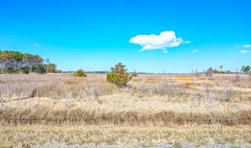 Photo #42 of Off Bay Tree Beach Rd, Seaford, VA 185.0 acres