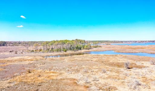 Photo #48 of Off Bay Tree Beach Rd, Seaford, VA 185.0 acres