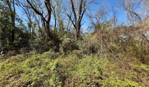 Photo #9 of 220 N. Pine Street, Laurinburg, NC 0.4 acres