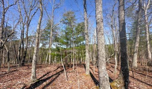 Photo #10 of Off of Belvedere Drive, Fieldale, VA 30.2 acres