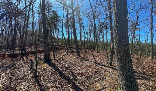 Photo #11 of Off of Belvedere Drive, Fieldale, VA 30.2 acres