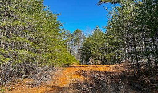 Photo #12 of Off of Belvedere Drive, Fieldale, VA 30.2 acres