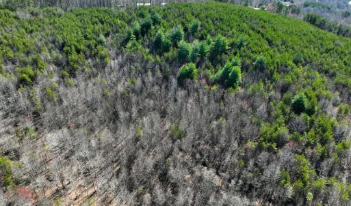 Photo #13 of Off of Belvedere Drive, Fieldale, VA 30.2 acres