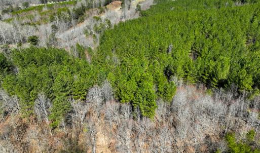 Photo #14 of Off of Belvedere Drive, Fieldale, VA 30.2 acres