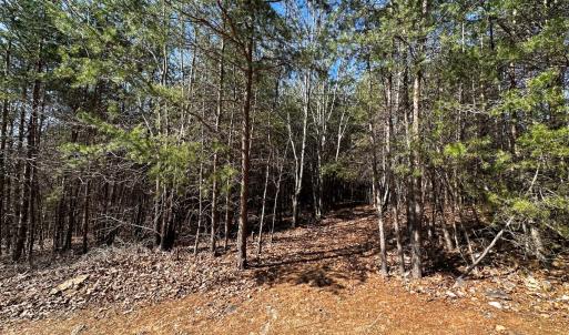Photo #15 of Off of Belvedere Drive, Fieldale, VA 30.2 acres