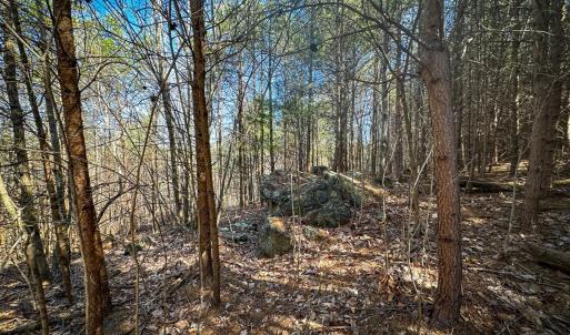 Photo #16 of Off of Belvedere Drive, Fieldale, VA 30.2 acres