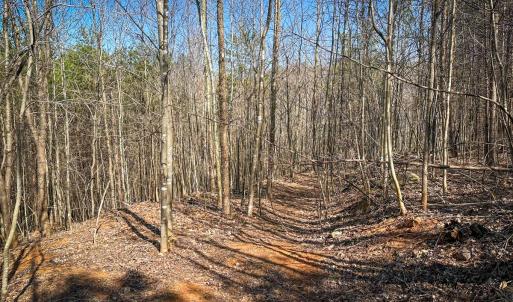 Photo #17 of Off of Belvedere Drive, Fieldale, VA 30.2 acres