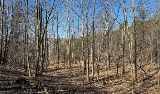 Photo #18 of Off of Belvedere Drive, Fieldale, VA 30.2 acres
