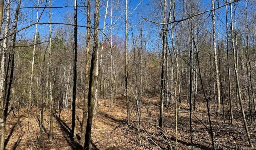 Photo #19 of Off of Belvedere Drive, Fieldale, VA 30.2 acres