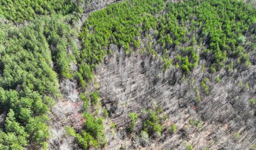 Photo #20 of Off of Belvedere Drive, Fieldale, VA 30.2 acres