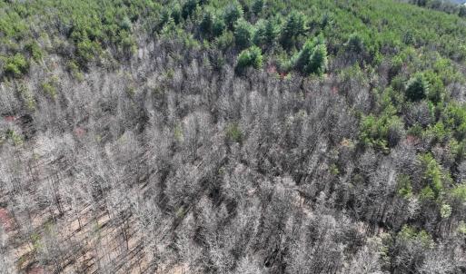 Photo #21 of Off of Belvedere Drive, Fieldale, VA 30.2 acres