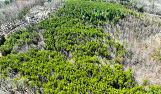 Photo #7 of Off of Belvedere Drive, Fieldale, VA 30.2 acres