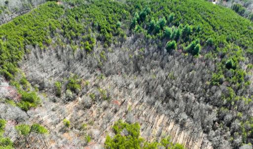 Photo #8 of Off of Belvedere Drive, Fieldale, VA 30.2 acres