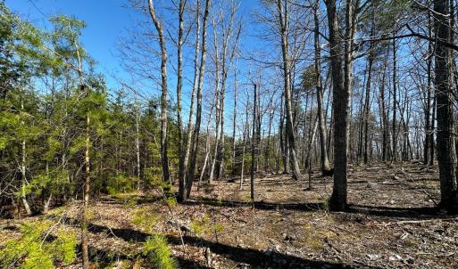 Photo #9 of Off of Belvedere Drive, Fieldale, VA 30.2 acres