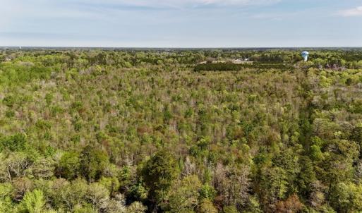 Photo #8 of Off Saxon Avenue, Lumberton, NC 76.7 acres