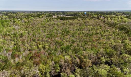 Photo #9 of Off Saxon Avenue, Lumberton, NC 76.7 acres