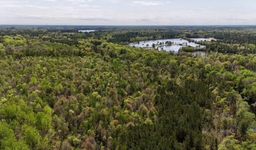 Photo #12 of Off Saxon Avenue, Lumberton, NC 76.7 acres