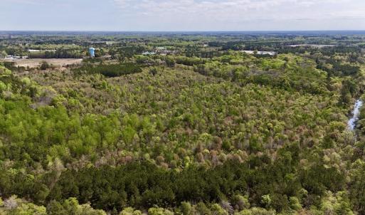 Photo #14 of Off Saxon Avenue, Lumberton, NC 76.7 acres