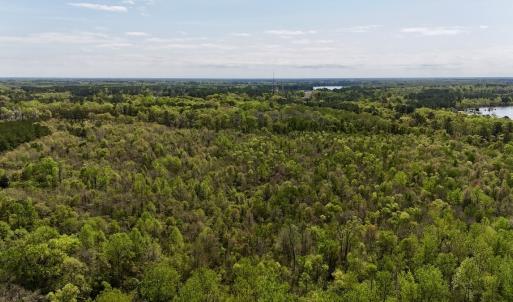 Photo #15 of Off Saxon Avenue, Lumberton, NC 76.7 acres