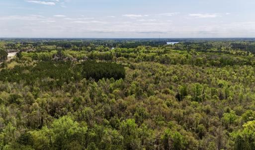 Photo #17 of Off Saxon Avenue, Lumberton, NC 76.7 acres