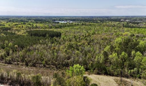 Photo #19 of Off Saxon Avenue, Lumberton, NC 76.7 acres