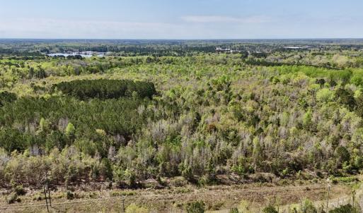 Photo #20 of Off Saxon Avenue, Lumberton, NC 76.7 acres