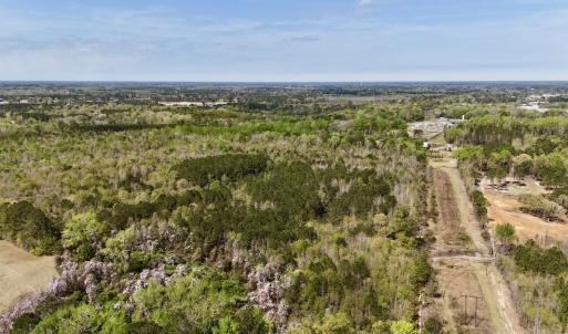 Photo #3 of Off Saxon Avenue, Lumberton, NC 76.7 acres