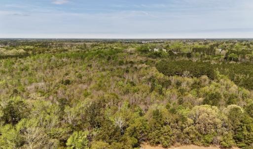 Photo #5 of Off Saxon Avenue, Lumberton, NC 76.7 acres
