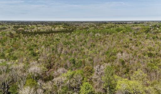 Photo #6 of Off Saxon Avenue, Lumberton, NC 76.7 acres