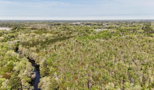 Photo #7 of Off Saxon Avenue, Lumberton, NC 76.7 acres