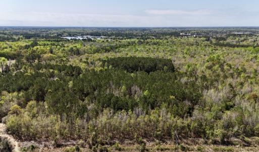 Photo #21 of Off Saxon Avenue, Lumberton, NC 76.7 acres