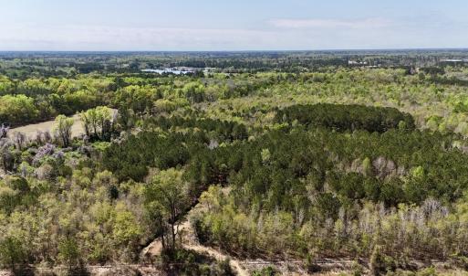 Photo #22 of Off Saxon Avenue, Lumberton, NC 76.7 acres