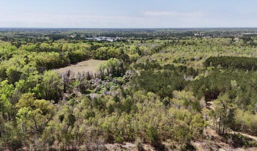 Photo #23 of Off Saxon Avenue, Lumberton, NC 76.7 acres
