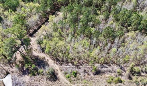 Photo #24 of Off Saxon Avenue, Lumberton, NC 76.7 acres