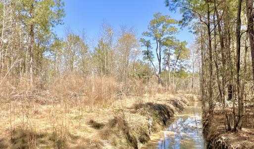 Photo #37 of Off Saxon Avenue, Lumberton, NC 76.7 acres