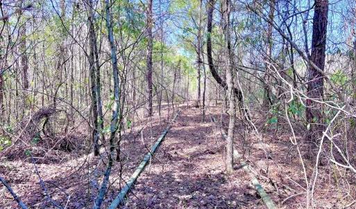 Photo #31 of Off Saxon Avenue, Lumberton, NC 76.7 acres