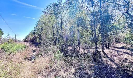 Photo #32 of Off Saxon Avenue, Lumberton, NC 76.7 acres