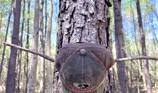 Photo #36 of Off Saxon Avenue, Lumberton, NC 76.7 acres