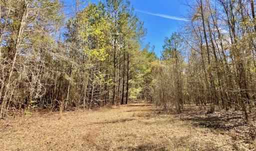 Photo #39 of Off Saxon Avenue, Lumberton, NC 76.7 acres
